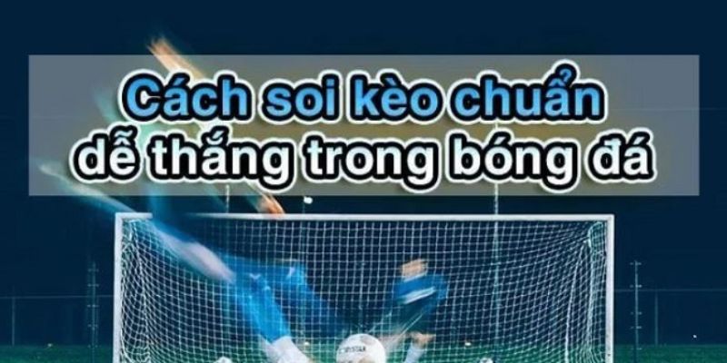 Cách chọn kèo thơm Chiến lược áp dụng cách chọn kèo thơm