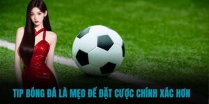 Giá Trị Cốt Lõi Của Tips Bóng Đá QH88