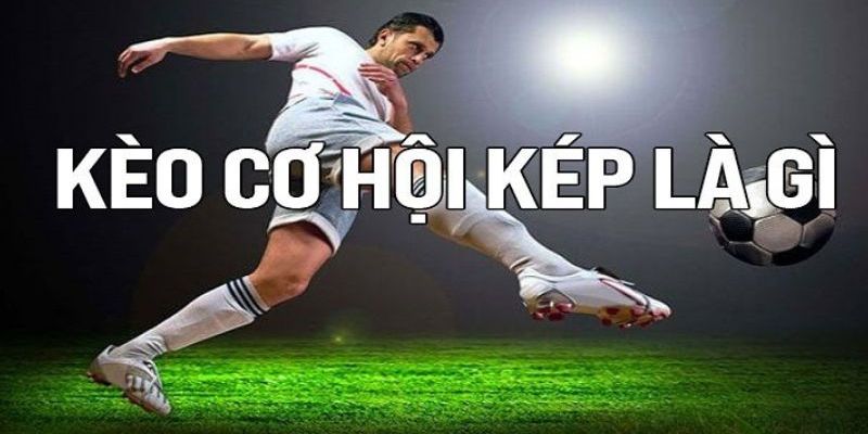 Giới thiệu về Cược cơ hội kép tại QH88