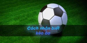 Kinh nghiệm áp dụng cách nhận biết kèo ảo hiệu quả